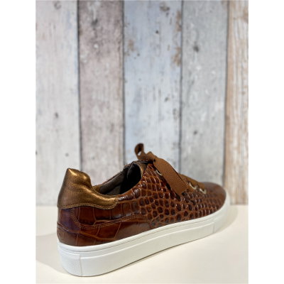 sneaker animal 7.87.11