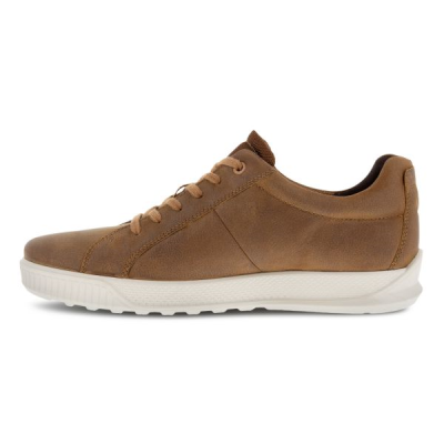Sneakers byway en nubuck camel | Grande taille homme | Ecco