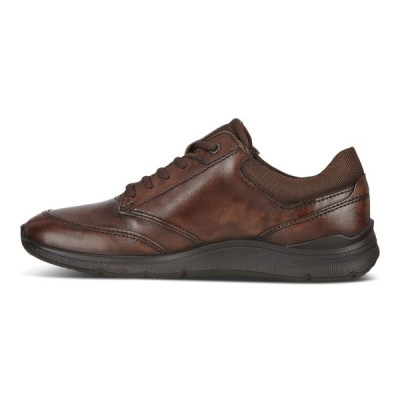 Basket basse en cuir lisse marron | Grande pointure homme | Ecco