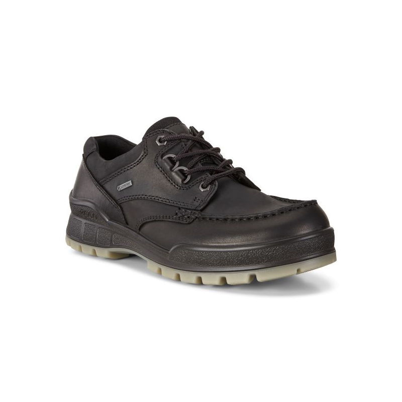 Chaussure de marche gore-tex noir | Grande taille homme |ECCO