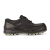 Chaussure de marche gore-tex noir | Grande taille homme |ECCO