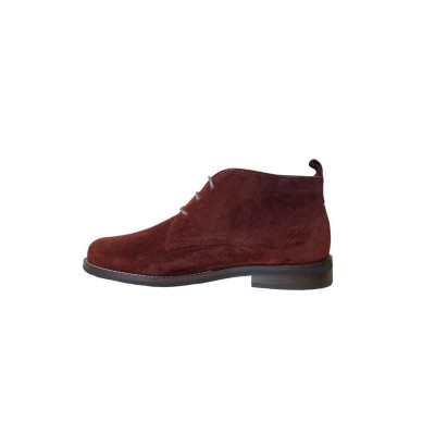 lacets habillé montant petrunja 709