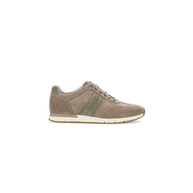 Tennis de ville en  nubuck beige|Grande taille homme|Pius Gabor