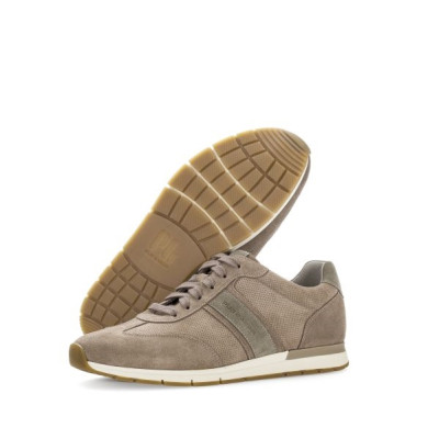 Tennis de ville en  nubuck beige|Grande taille homme|Pius Gabor