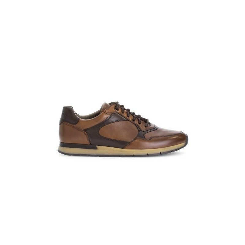tennis cognac cuir|Grande taille homme|Pius Gabor