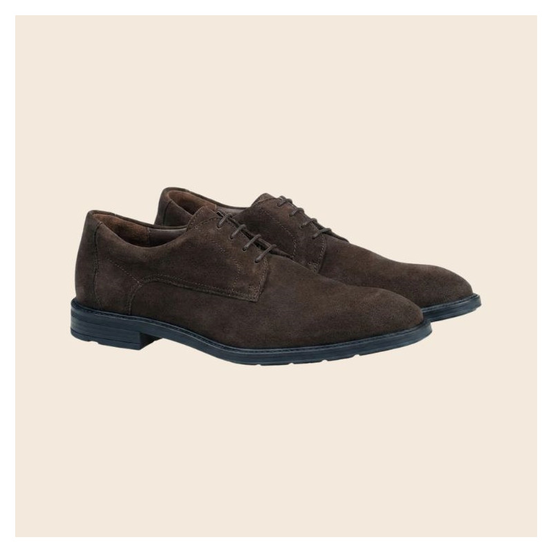 derby x-motion 110