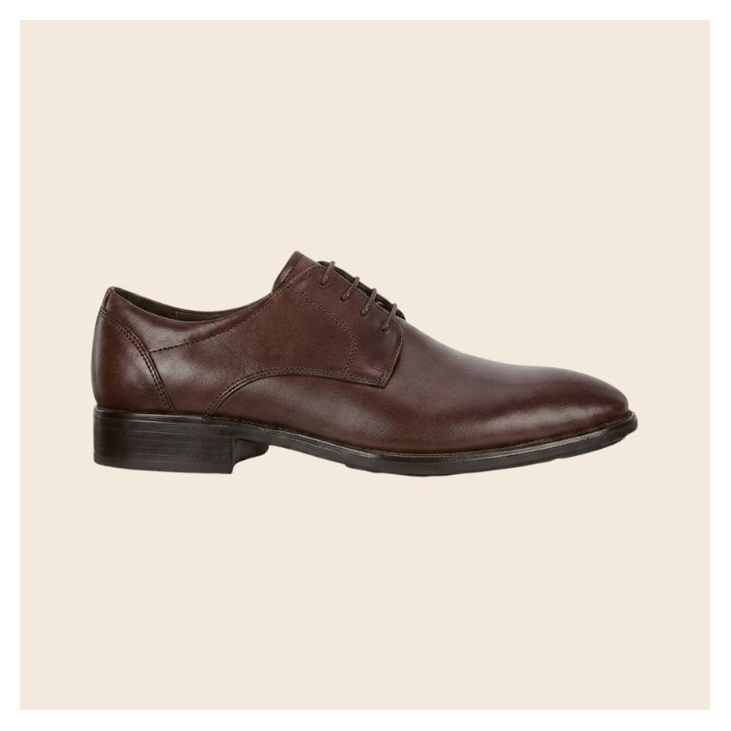 derby cuir lisse marron| grande pointure homme | ecco